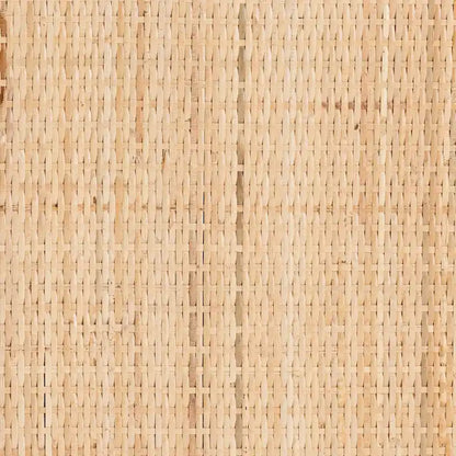 Bohemian Natural Rattan 2-Door Storage Cabinet